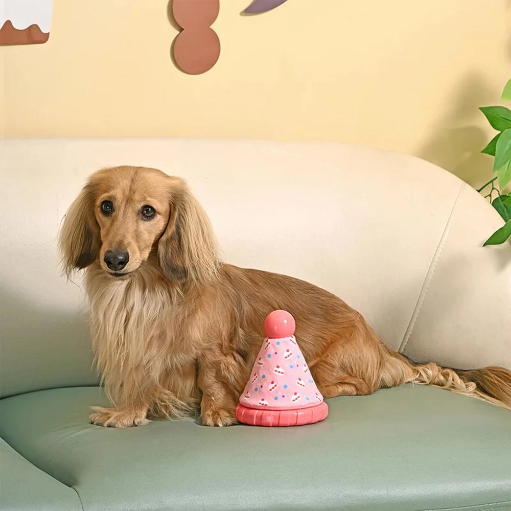 Yappy Birthday - Party Hat TPR Rubber Dog Toy