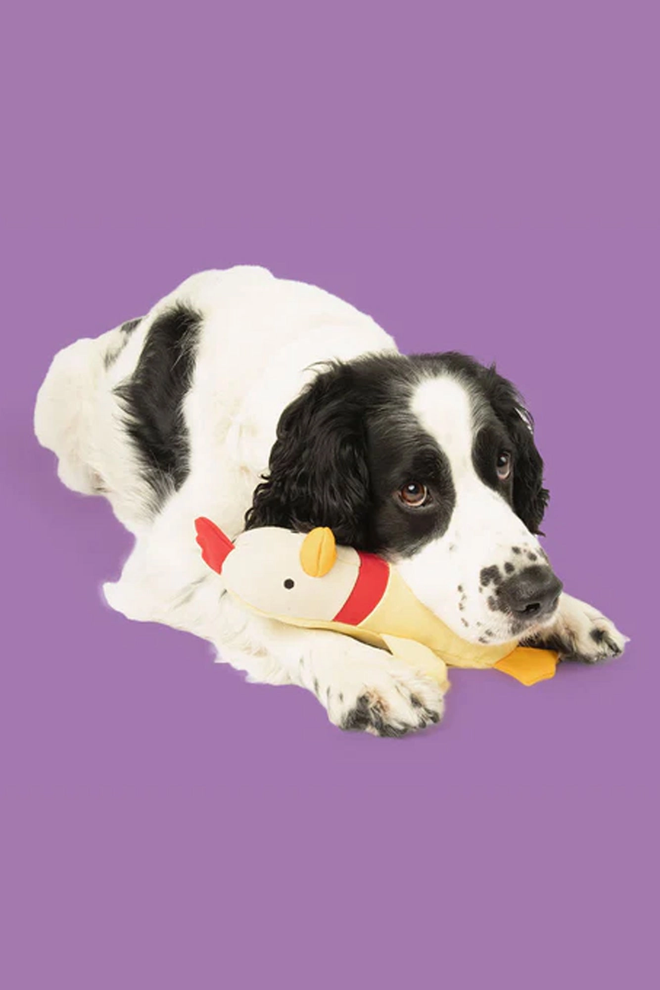 Yomp Clucky Plush Dog Toy