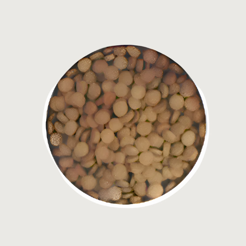 ZIGNATURE Whitefish Formula Dry Food for Dogs