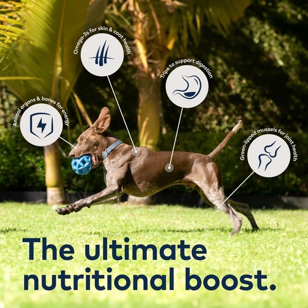 ZIWI Peak Grain Free Tripe & Lamb Recipe Canned Dog Food