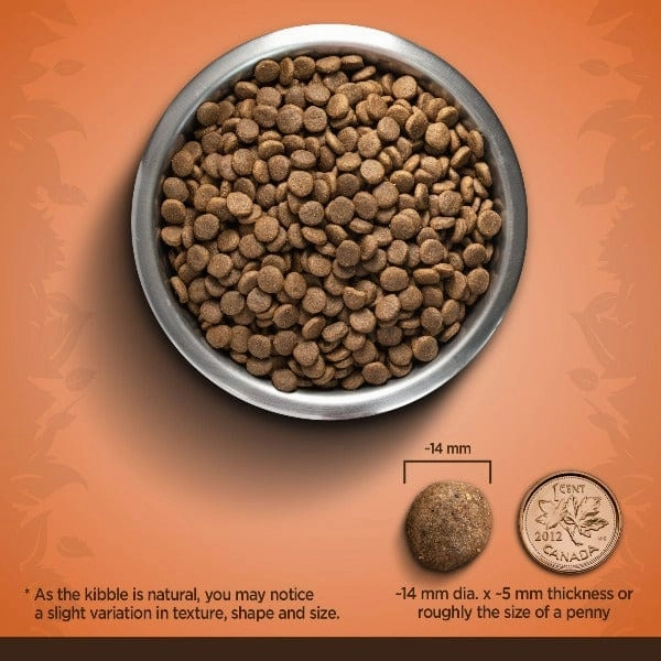 Zo Dog Medium Breed Turkey, Chickpea & Sweet Potato Dry Dog Food, 5kg