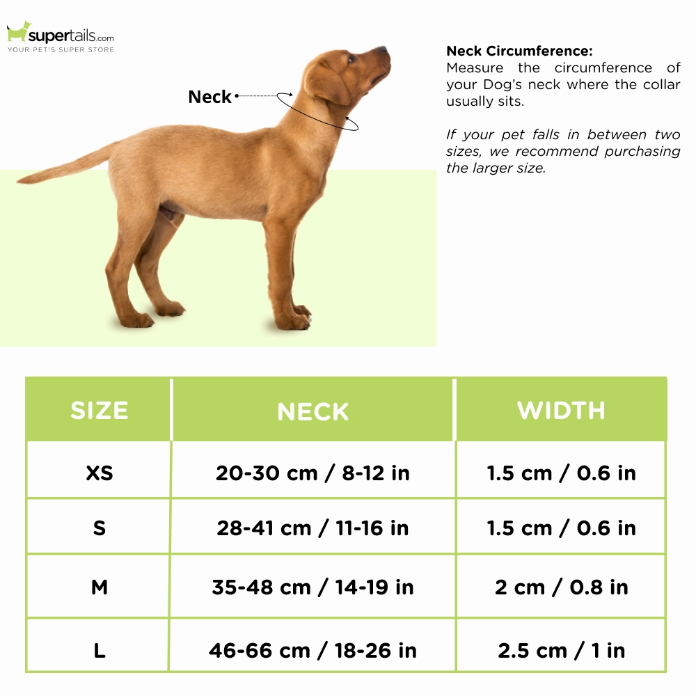 Zoomiez Fluid Printed Collar for Dogs
