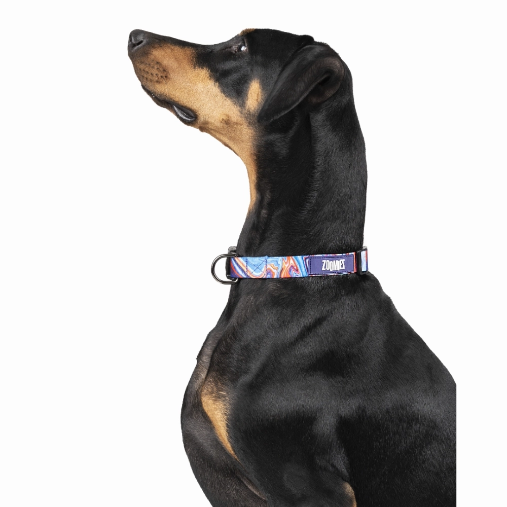 Zoomiez Fluid Printed Collar for Dogs