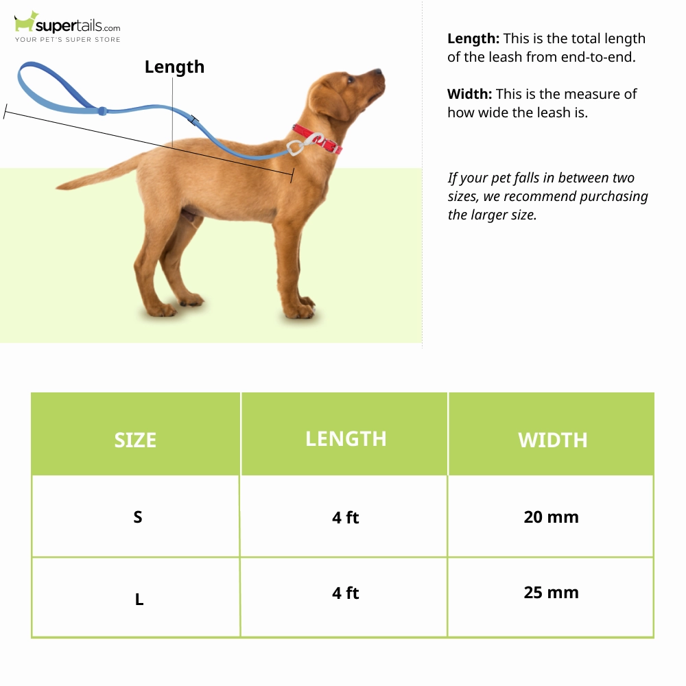 Zoomiez Fluid Printed Leash for Dogs