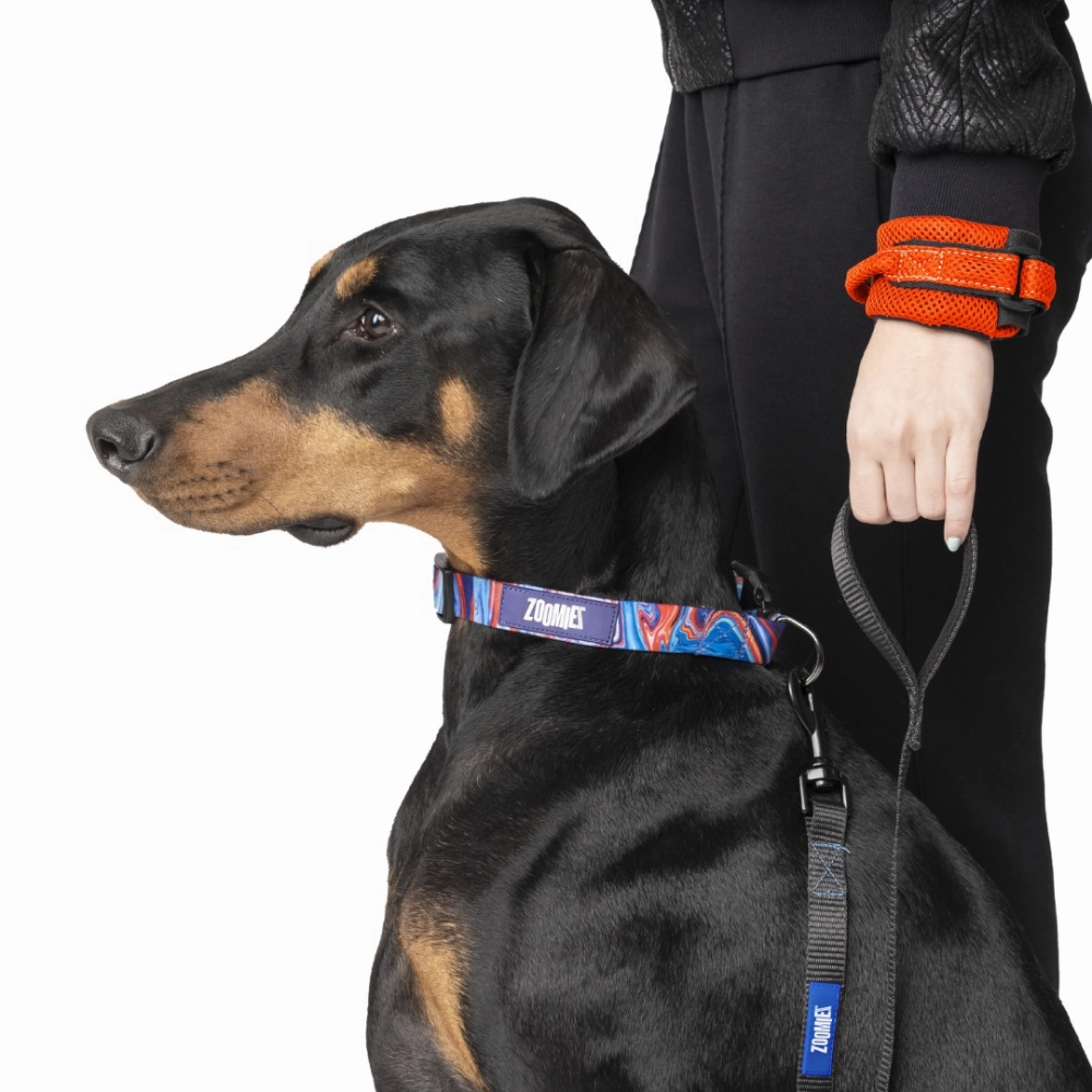 Zoomiez Hands Free Mesh Leash for Dogs & Cats (Orange)
