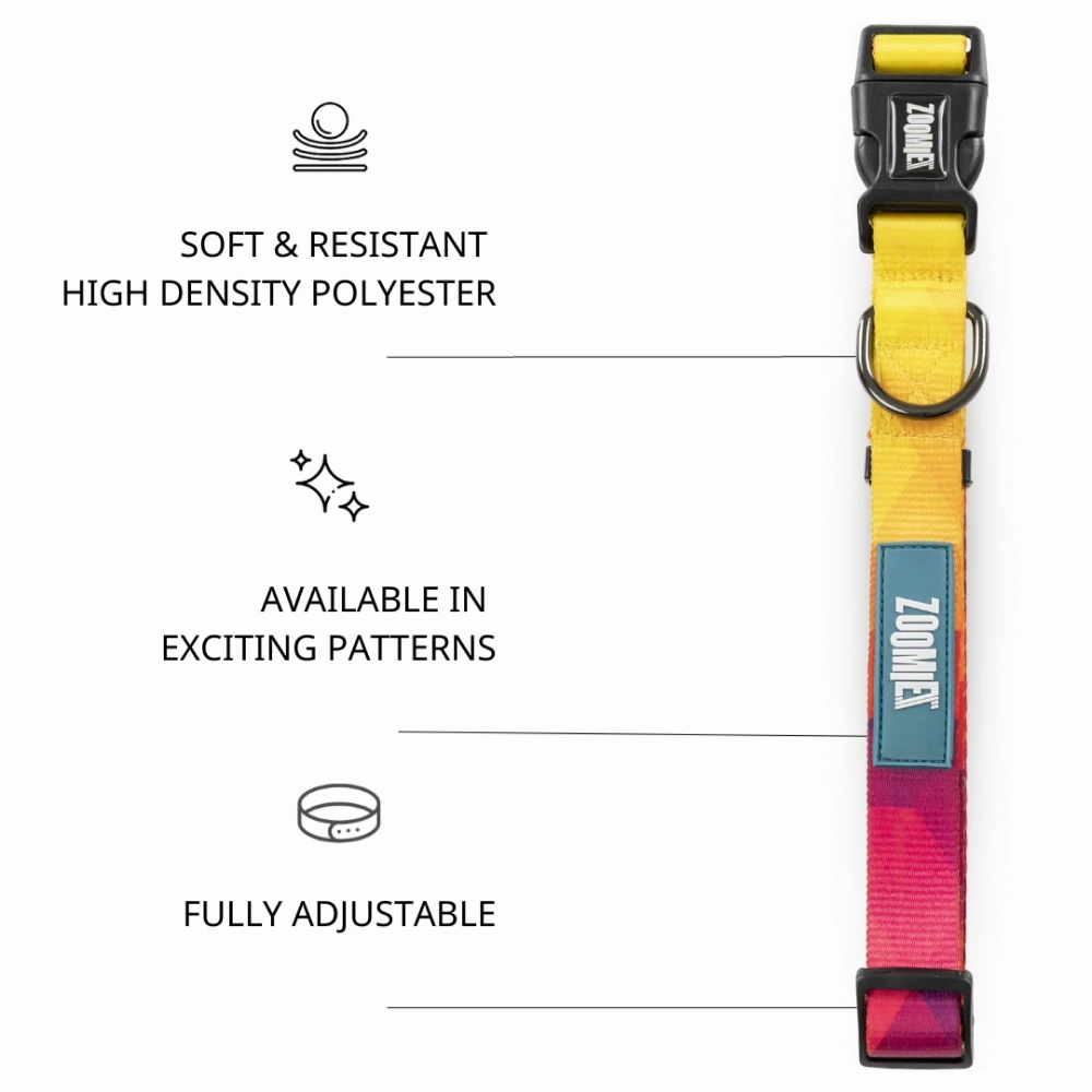 Zoomiez Solar Printed Collar for Dogs