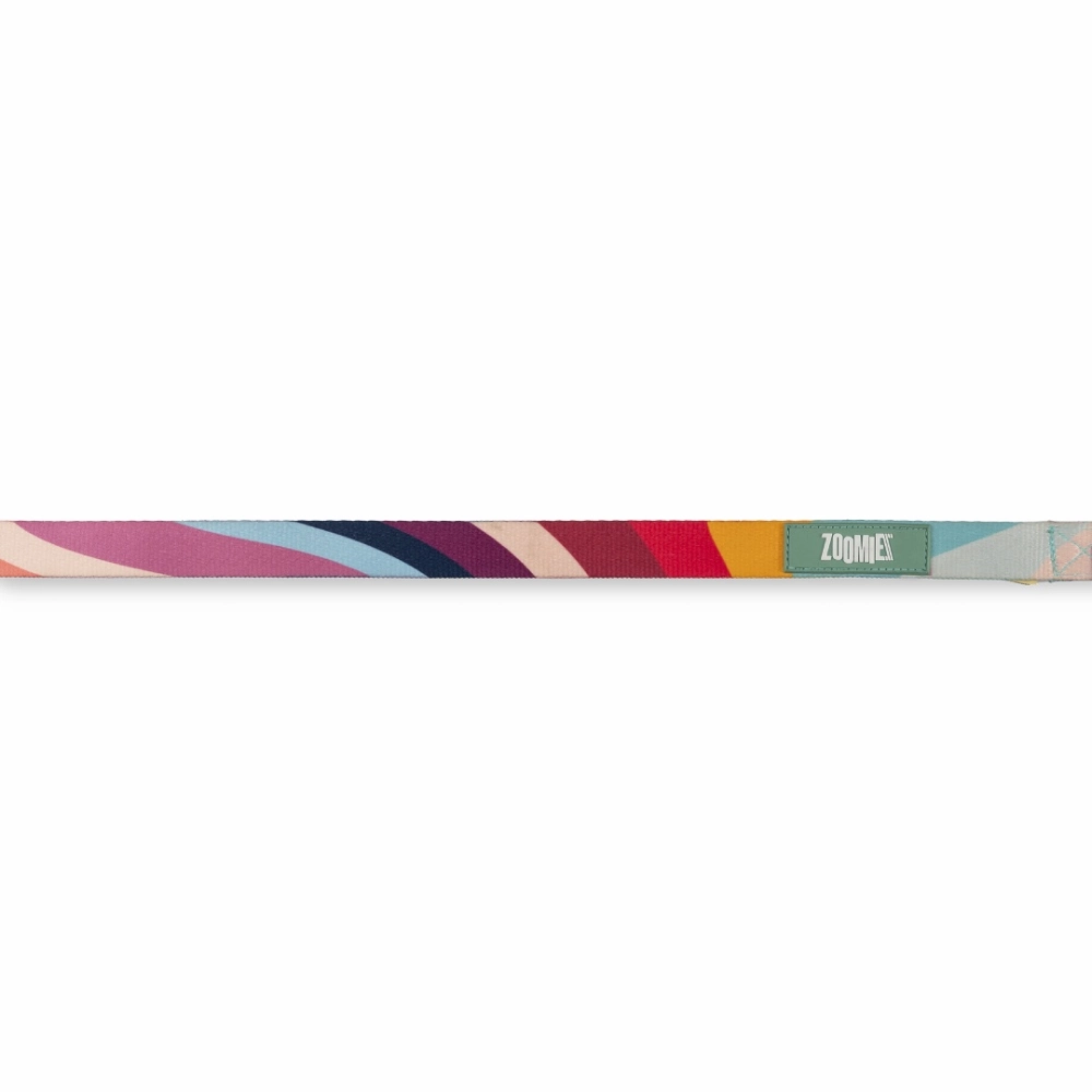 Zoomiez Swirl Printed Leash for Dogs
